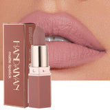 MA602 - Nude Pink Color Lipstick